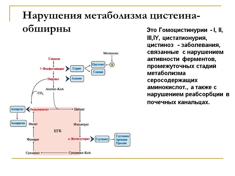 Нарушения метаболизма цистеина-     обширны    Это Гомоцистинурии -